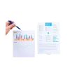 SEO Audit